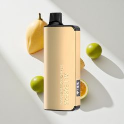 Alibarbar Ingot 9000 Puffs Passionsfrucht Mango Limette vape großhandel Schweiz 22ml E-Liquid-Kapazität 2350mah Batteriekapazität