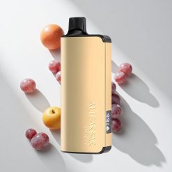Alibarbar Ingot 9000 Puffs Trauben-Eis vape großhandel Schweiz 2350mah Akkukapazität 22ml E-Liquid-Kapazität