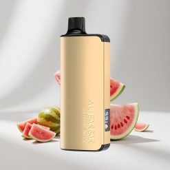 Alibarbar Ingot 9000 Puffs Wassermelone-Eis vape großhandel Schweiz 22ml E-Liquid-Kapazität 2350mah Akkukapazität
