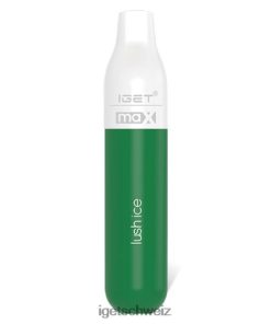 IGET bar buy online max JNJRFD83 üppiges Eis