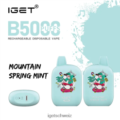 IGET vape Schweiz b5000 JNJRFD318 Bergfrühlingsminze