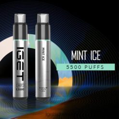 IGET vape Schweiz heiß – 5500 Züge JNJRFD436 Minz-Eis