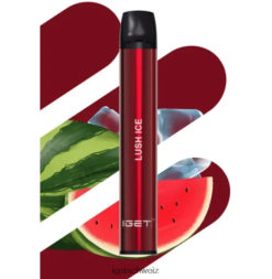 IGET vape Schweiz shion – 600 Züge JNJRFD461 üppiges Eis