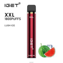IGET vape Schweiz xxl JNJRFD60 üppiges Eis