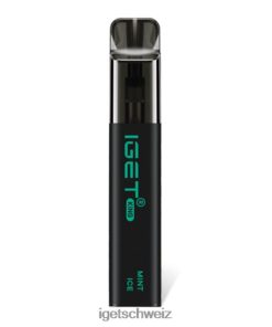 online IGET vapes König JNJRFD108 Minz-Eis