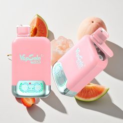 Vapsolo Twins 20000 Puffs Erdbeer-Eis & Mango-Pfirsich-Wassermelone vape großhandel Schweiz 40 ml E-Liquid, 2 Öltanks