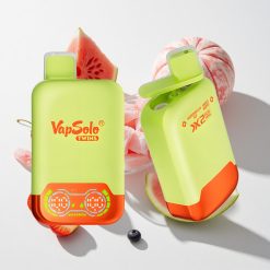 Vapsolo Twins 20000 Puffs Wassermelone Eis & Mischbeere vape großhandel Schweiz 40 ml E-Liquid 2 Öltanks