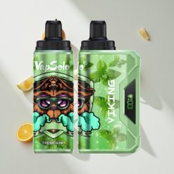 VapSolo VIKING 12000 Puffs Wegwerf-Vape Frische Minze vape großhandel Schweiz E-Liquid:22ml Nikotingehalt:20 mg/ml & 50 mg/ml