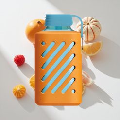 VOZOL GEAR 10000 10000 Puffs Himbeere Tangerine vape großhandel Schweiz 20 ml E-Liquid Kapazität 500mAh Batteriekapazität