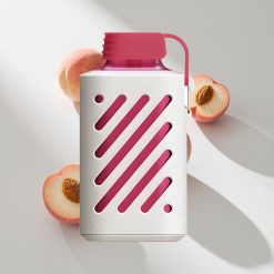 VOZOL GEAR 10000 10000 Puffs Pfirsich Eis vape großhandel Schweiz 30 Geschmacksrichtungen 20 ml E-Liquid-Kapazität