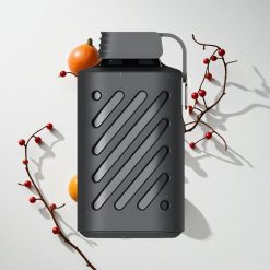 VOZOL GEAR 10000 10000 Puffs Zedernbeeren vape großhandel Schweiz 500mAh Batteriekapazität 20 ml E-Liquid-Kapazität