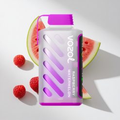 VOZOL Gear Power 20000 Puffs Himbeere Wassermelone vape großhandel Schweiz Dual Mesh Coil 20mL vorgefüllt