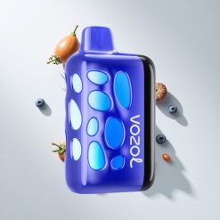 VOZOL RAVE 40000 Einweg-Vape Blaubeer-Eis vape großhandel Schweiz 1000mAh Akkukapazität 20/50mg/ml Nikotin