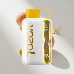 VOZOL STAR 40000 Puffs Mango Pfirsich Einweg-Vape vape großhandel Schweiz Batteriekapazität: 1000mAh Nikotingehalt: 20/50mg/ml