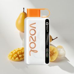 VOZOL STAR 9000/12000 Puffs Einweg-Vape Mexica Mango Eis vape großhandel Schweiz 650mAh Akku Kapazität Bis zu 9000/12000 Züge
