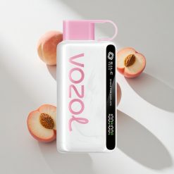 VOZOL STAR 9000/12000 Puffs Pfirsich Eis Einweg-Vape vape großhandel Schweiz 650mAh Akku Kapazität 0/20/50mg/ml Nikotin