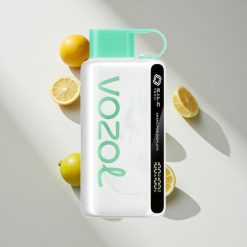 VOZOL STAR 9000/12000 Puffs Zitrone Minze Einweg-Vape vape großhandel Schweiz 650mAh Batteriekapazität 0/20/50mg/ml Nikotin
