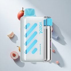 VOZOL VISTA 40000 Puffs Einweg-Vape Blaue Himbeere Eis vape großhandel Schweiz MTL Wiederaufladbarer Vape 1000mAh Schnellladung
